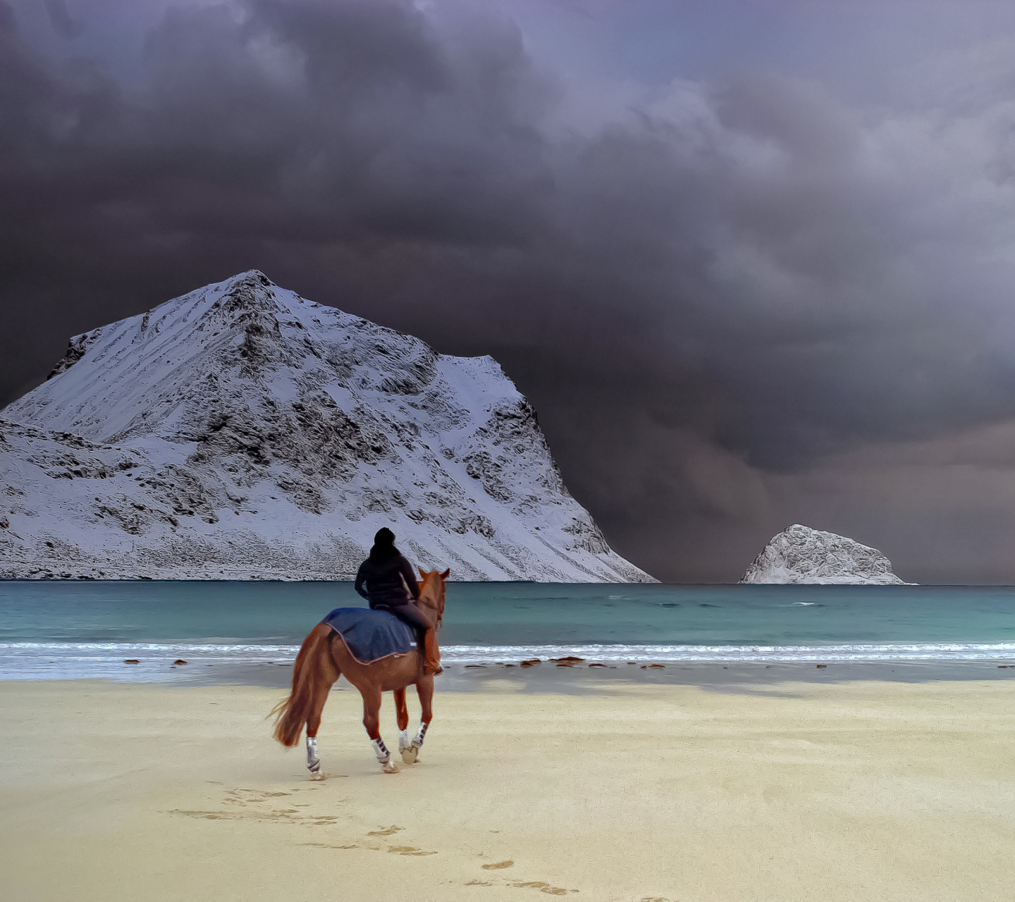 Обои Horse on beach 1440x1280