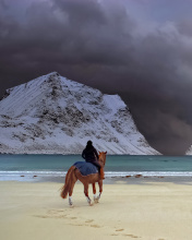 Horse on beach wallpaper 176x220