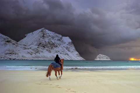 Das Horse on beach Wallpaper 480x320