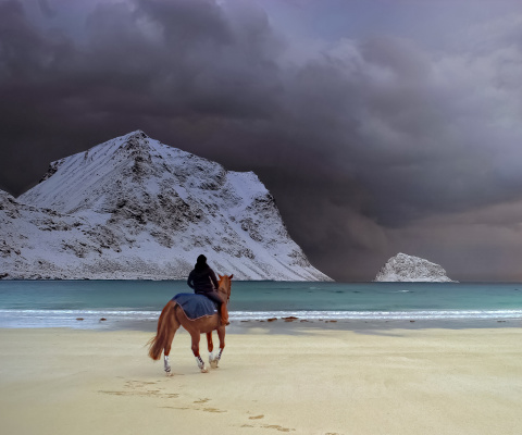 Fondo de pantalla Horse on beach 480x400