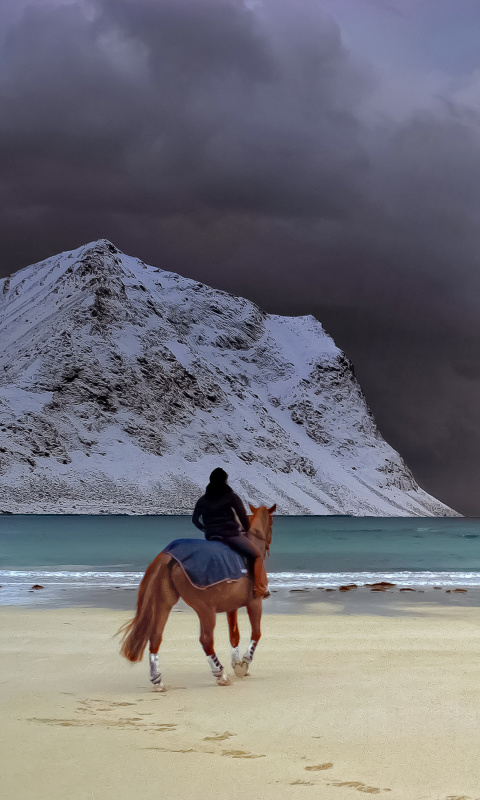 Das Horse on beach Wallpaper 480x800