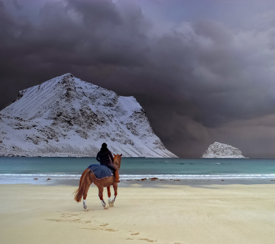 Horse on beach wallpaper 960x854