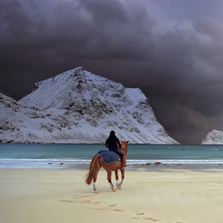 Horse on beach - Obrázkek zdarma pro 208x208