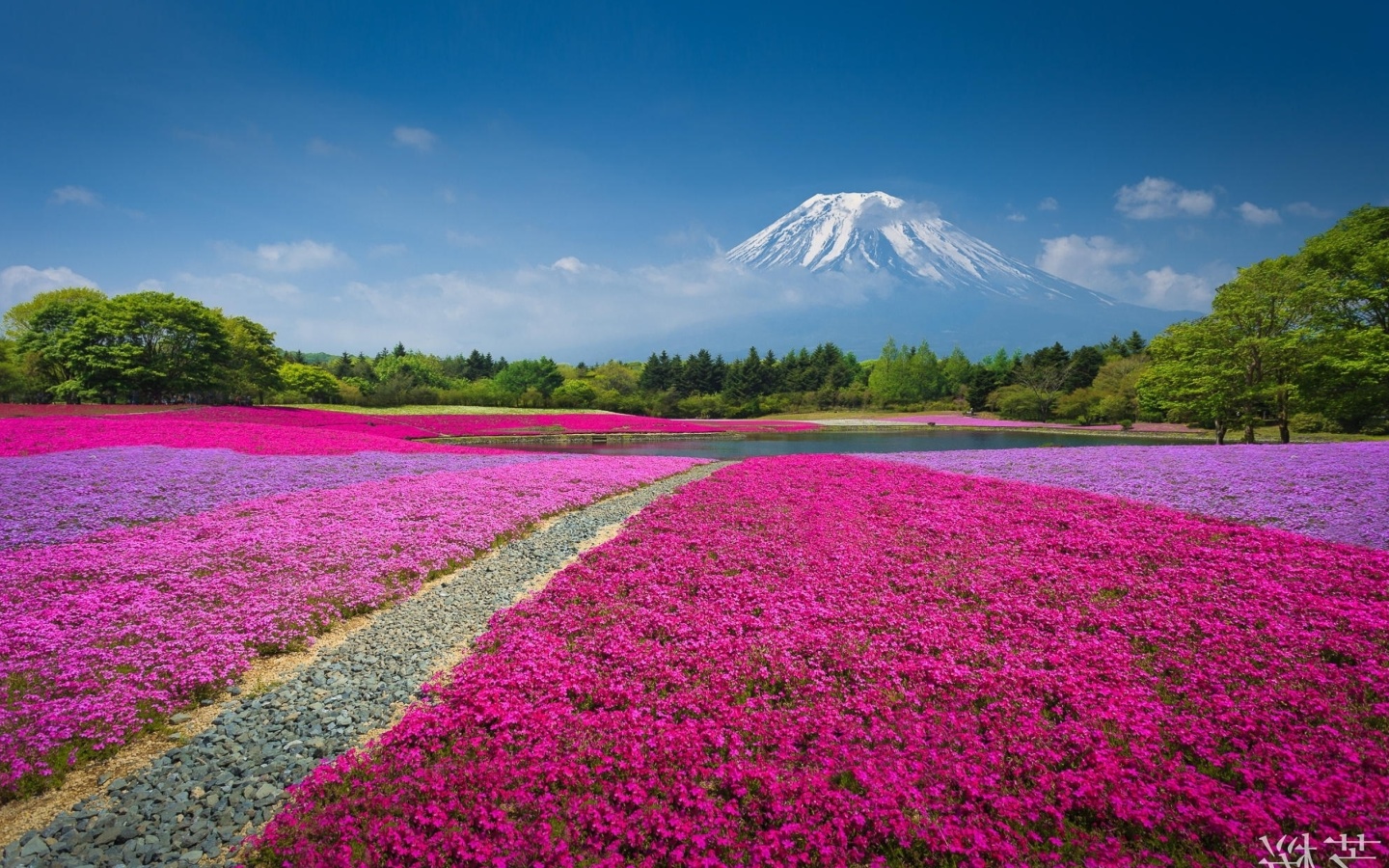 Japanese volcano in spring screenshot #1 1440x900