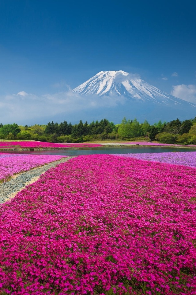 Обои Japanese volcano in spring 640x960