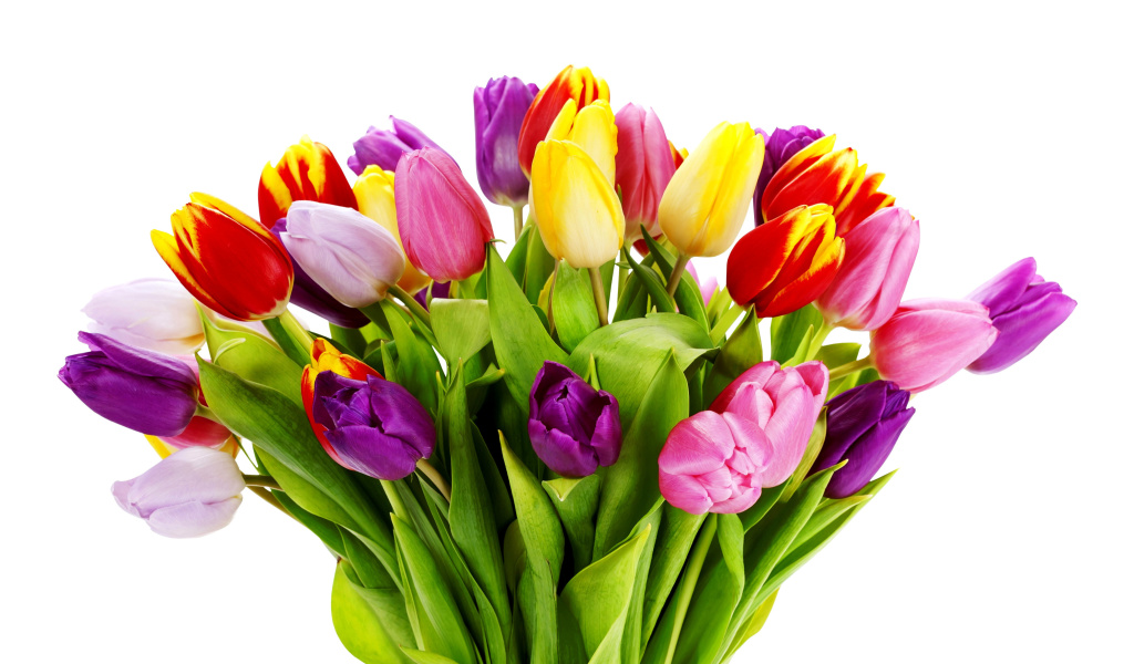 Screenshot №1 pro téma Tulips Bouquet 1024x600