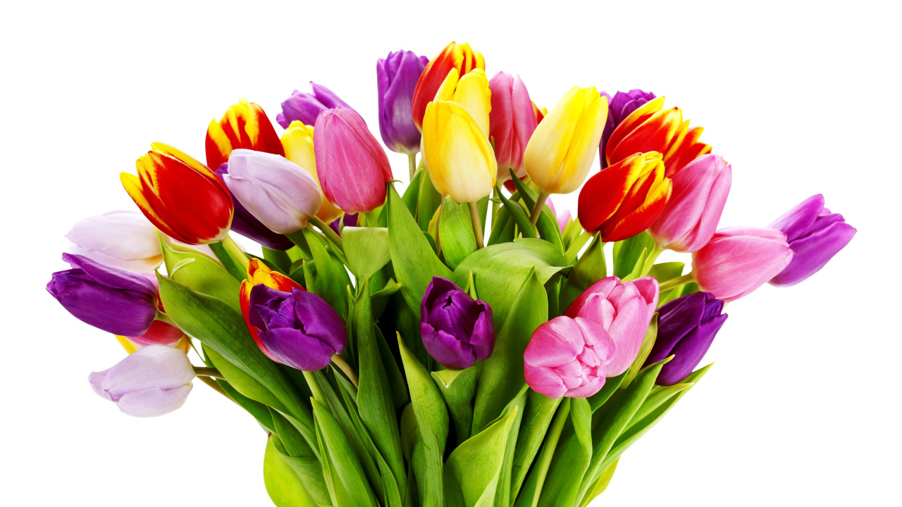 Screenshot №1 pro téma Tulips Bouquet 1280x720