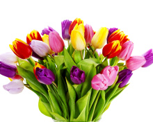Screenshot №1 pro téma Tulips Bouquet 220x176