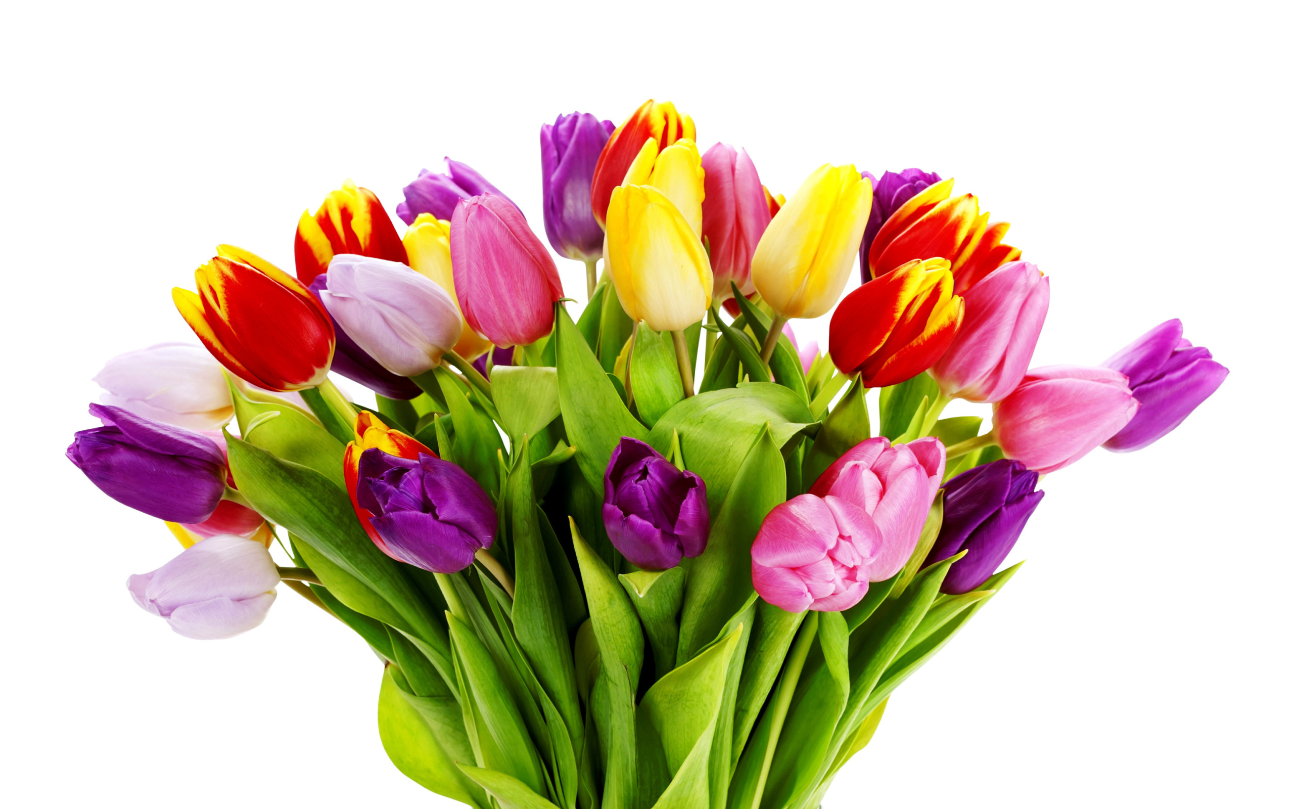Screenshot №1 pro téma Tulips Bouquet 2560x1600