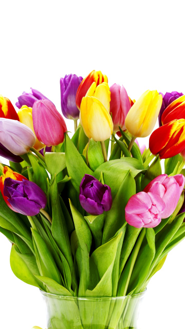 Sfondi Tulips Bouquet 360x640