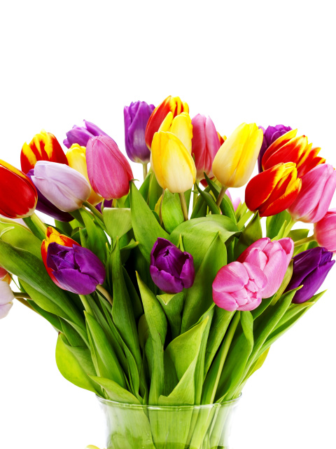 Screenshot №1 pro téma Tulips Bouquet 480x640