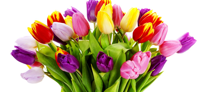 Fondo de pantalla Tulips Bouquet 720x320