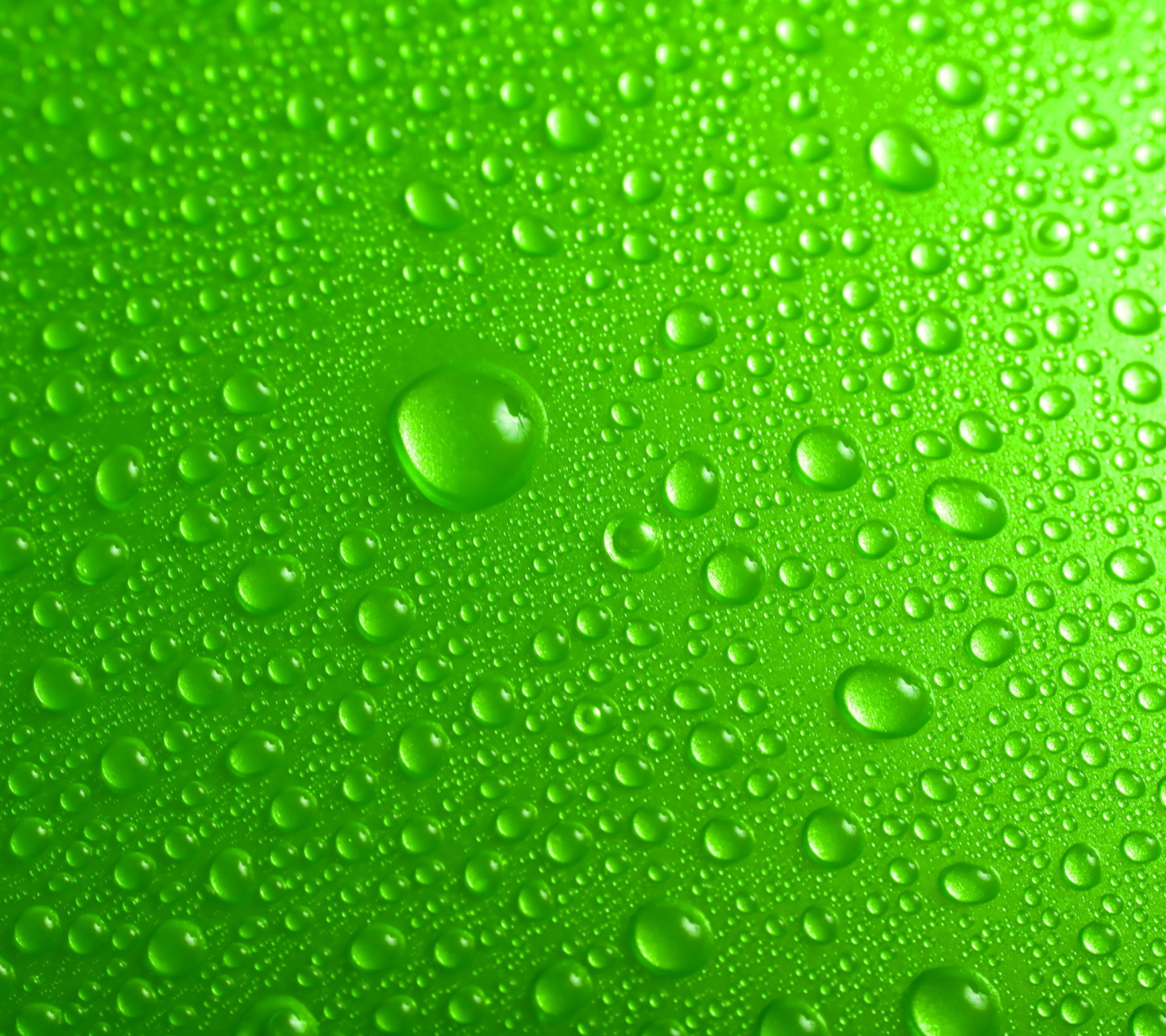 Sfondi Green Water Drops 1440x1280