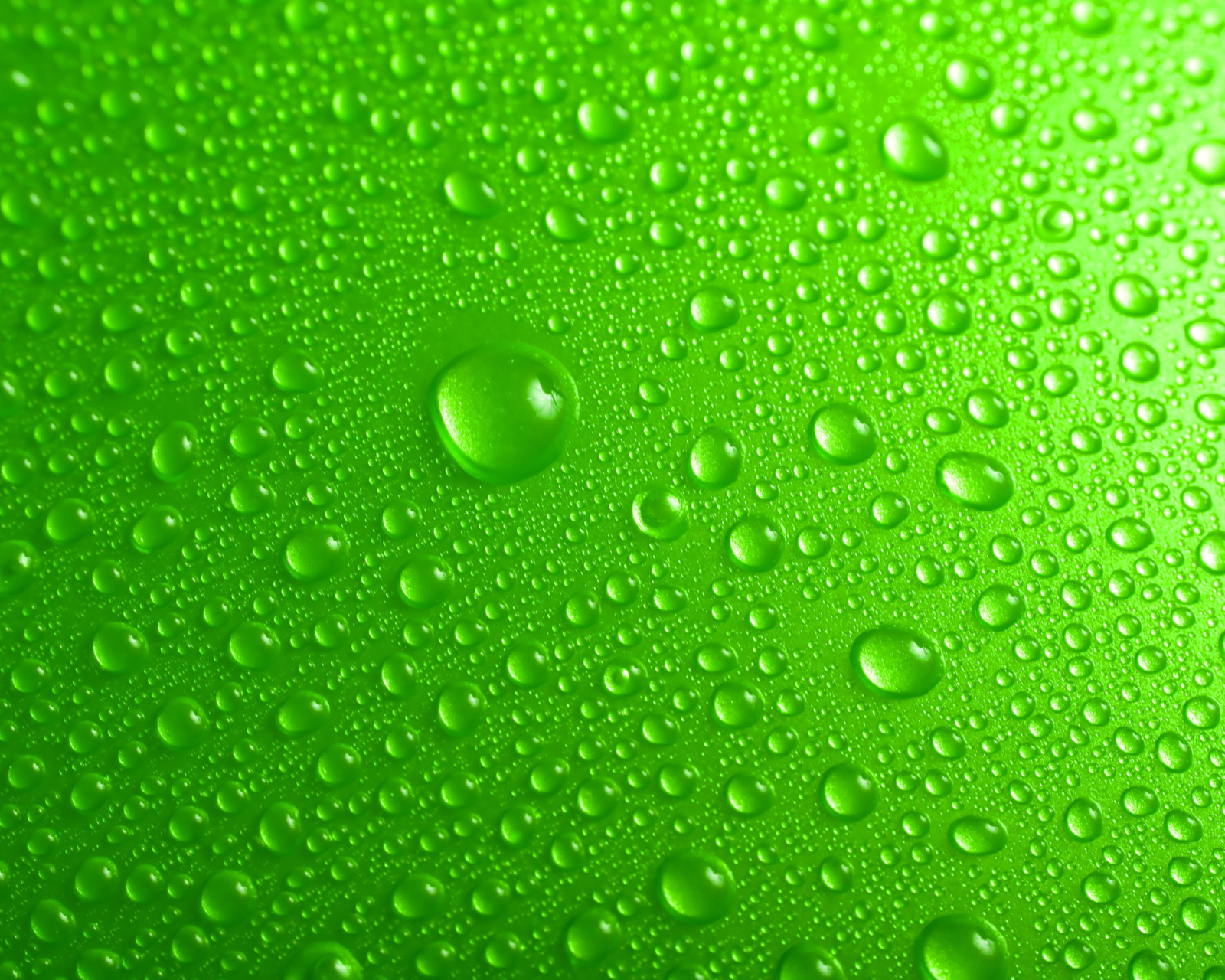 Screenshot №1 pro téma Green Water Drops 1600x1280