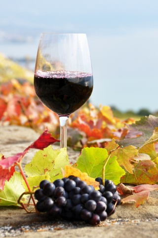 Das Wine Test in Vineyards Wallpaper 320x480