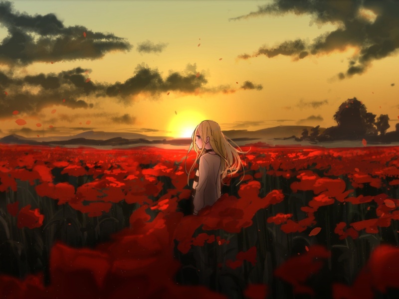 Fondo de pantalla Satsuriku Anime Girl 800x600