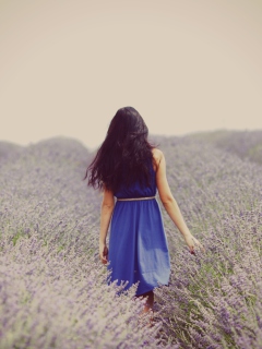 Screenshot №1 pro téma Lavender Dress Lavender Field 240x320