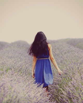 Lavender Dress Lavender Field - Obrázkek zdarma pro iPhone 4
