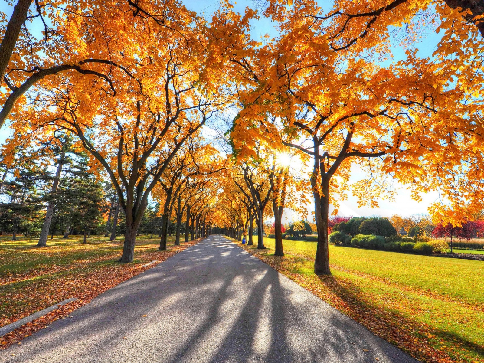 Обои Autumn Alley in September 1600x1200