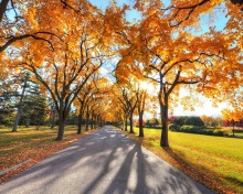 Sfondi Autumn Alley in September 220x176