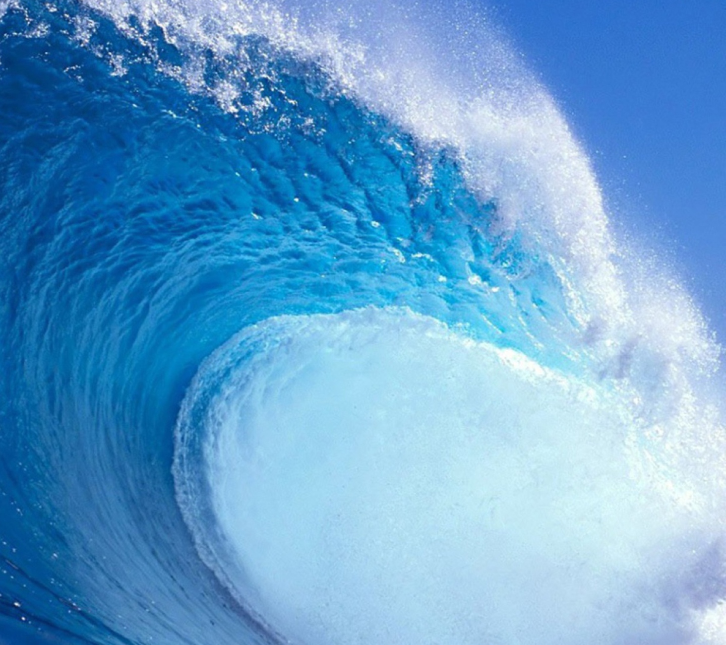 Screenshot №1 pro téma Surf Wave 1440x1280