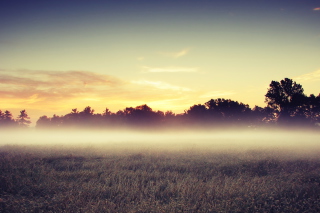 Morning Fog Wallpaper for Android, iPhone and iPad