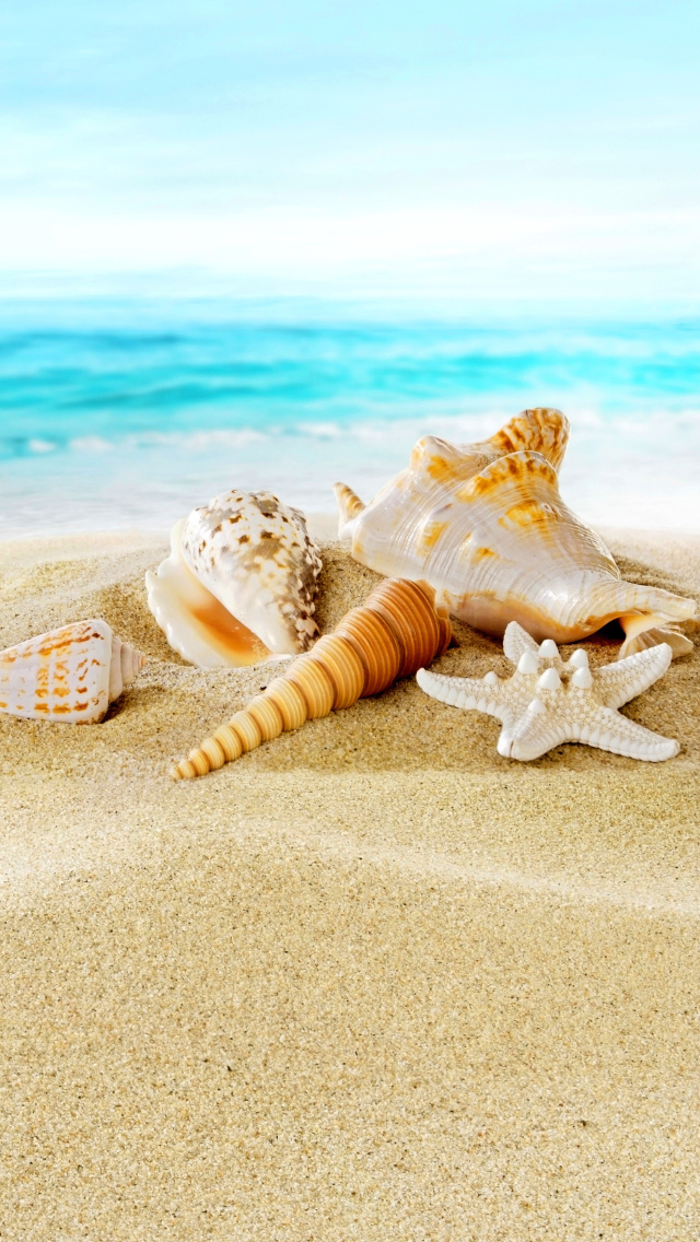 Das Seashells on Sand Beach Wallpaper 640x1136
