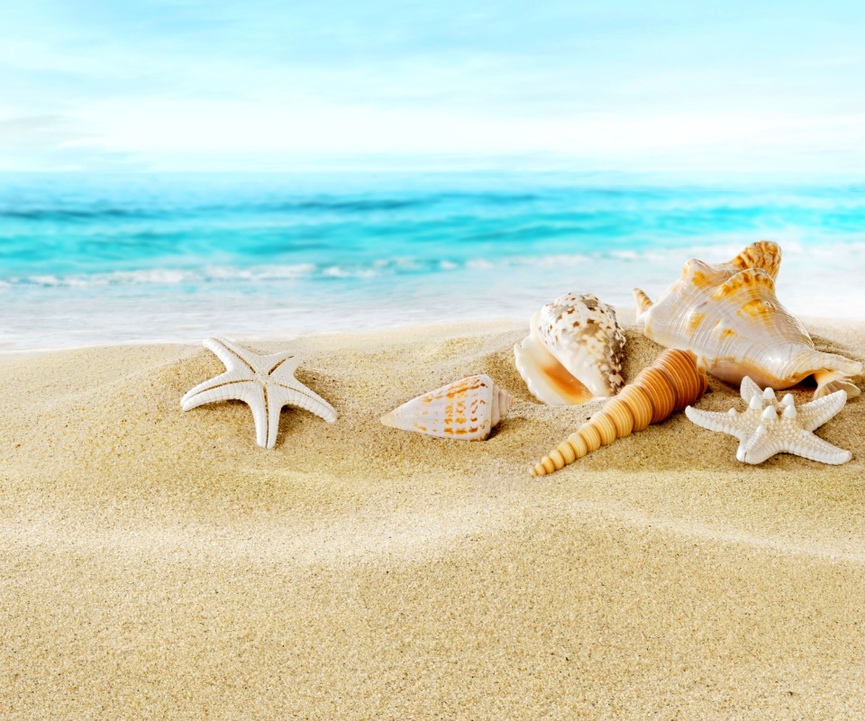Обои Seashells on Sand Beach 960x800