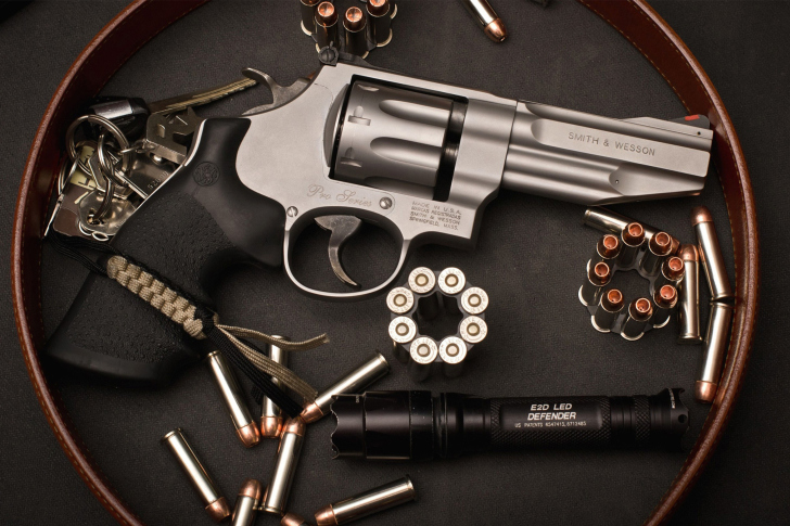 Screenshot №1 pro téma Smith & Wesson Revolver