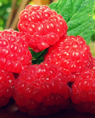 Raspberries - Obrázkek zdarma pro 750x1334