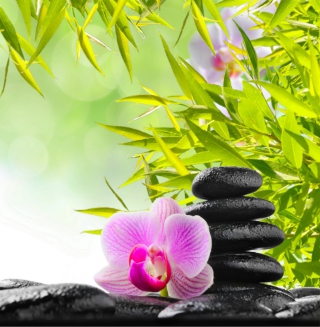 Thai Flowers - Obrázkek zdarma pro iPad mini 2