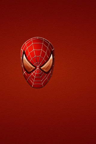 Fondo de pantalla Spider Man 320x480