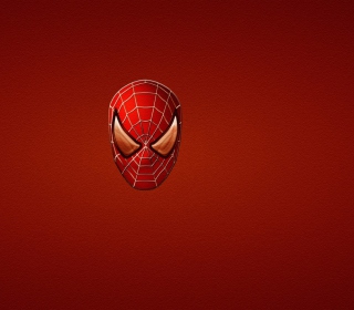 Spider Man - Obrázkek zdarma pro iPad 3