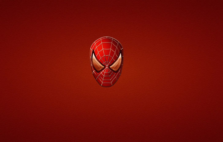 Screenshot №1 pro téma Spider Man