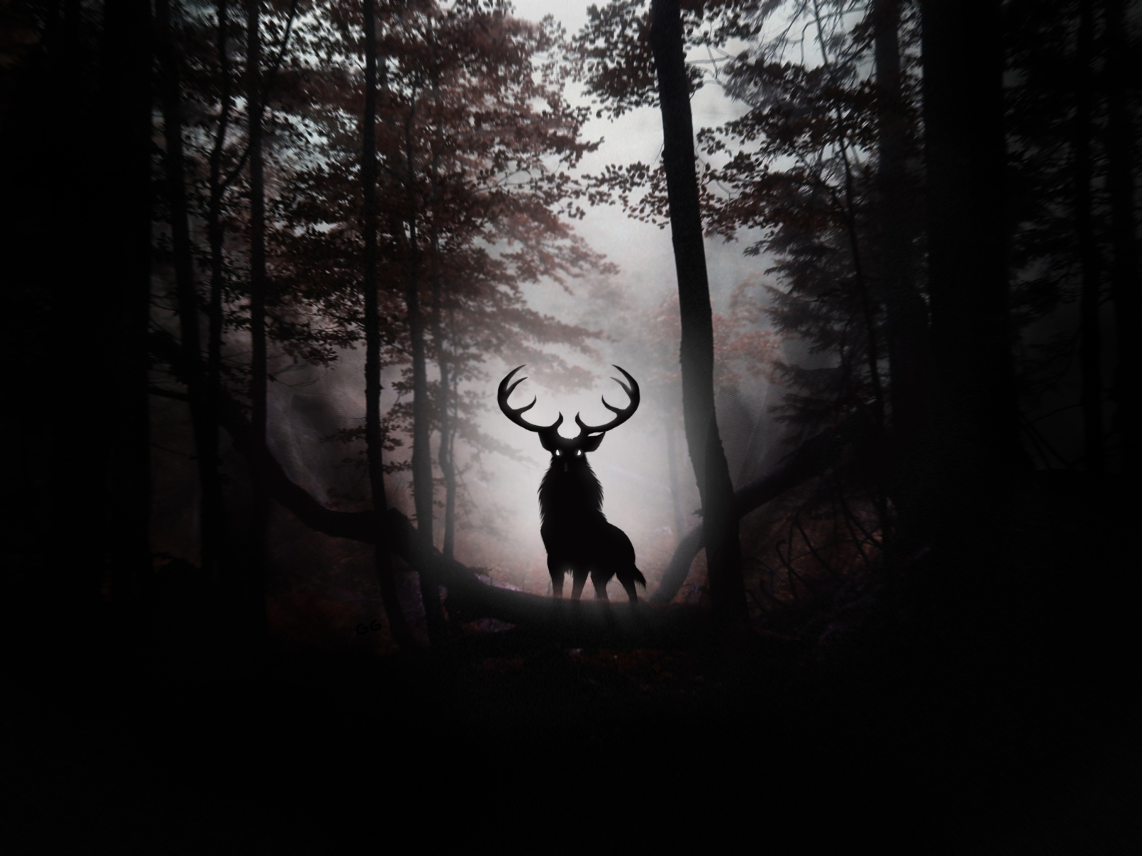 Deer In Dark Forest wallpaper 1600x1200