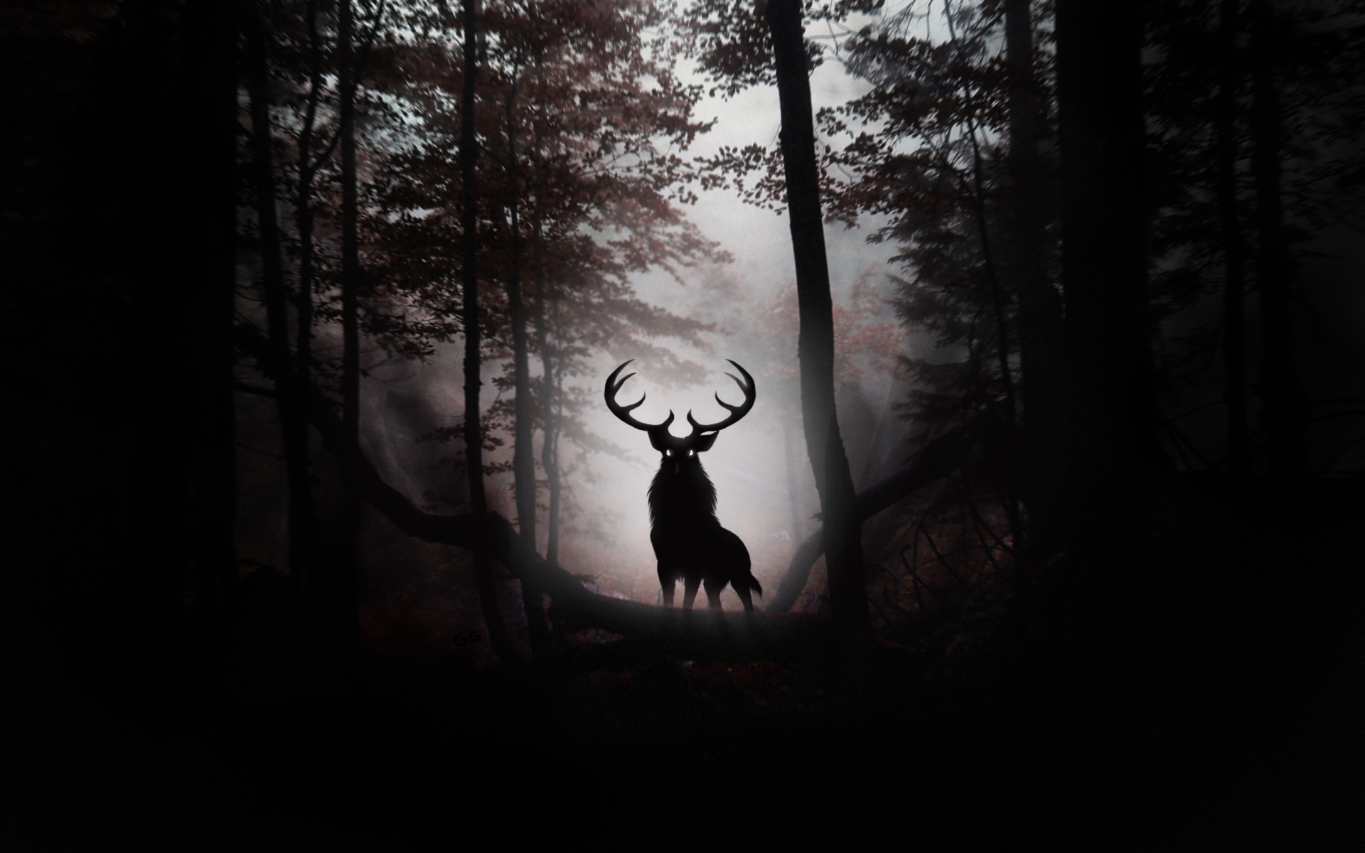 Deer In Dark Forest wallpaper 1920x1200