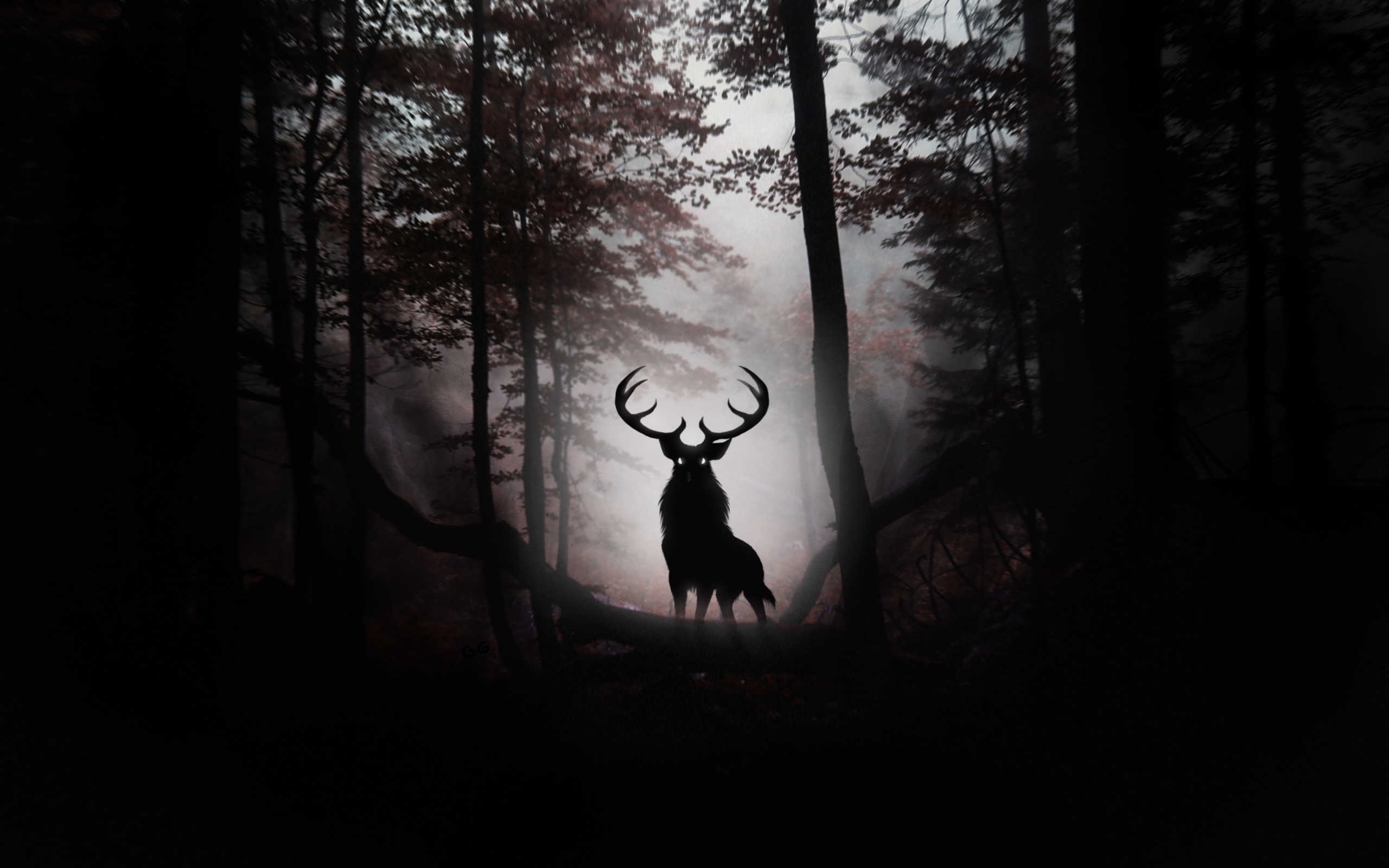 Das Deer In Dark Forest Wallpaper 2560x1600