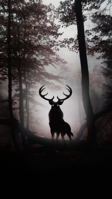 Обои Deer In Dark Forest 360x640