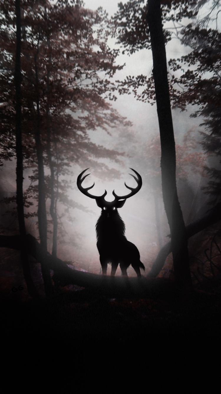 Das Deer In Dark Forest Wallpaper 750x1334