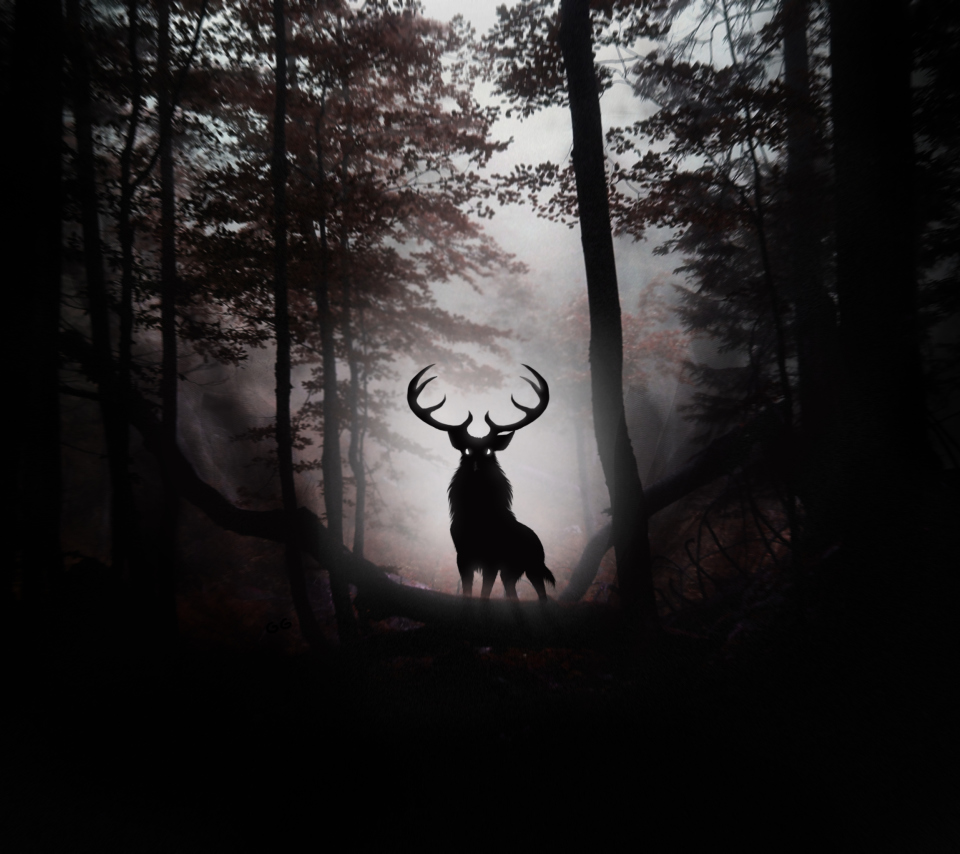 Das Deer In Dark Forest Wallpaper 960x854