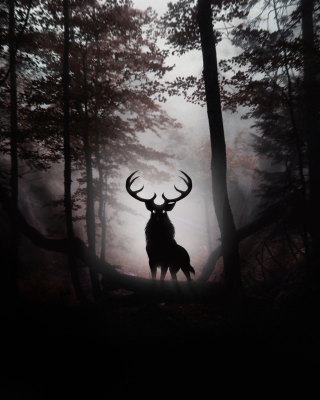 Deer In Dark Forest - Obrázkek zdarma pro iPhone 5C