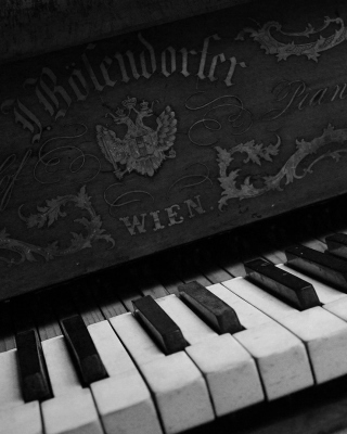Vienna Piano - Obrázkek zdarma pro Nokia C-Series