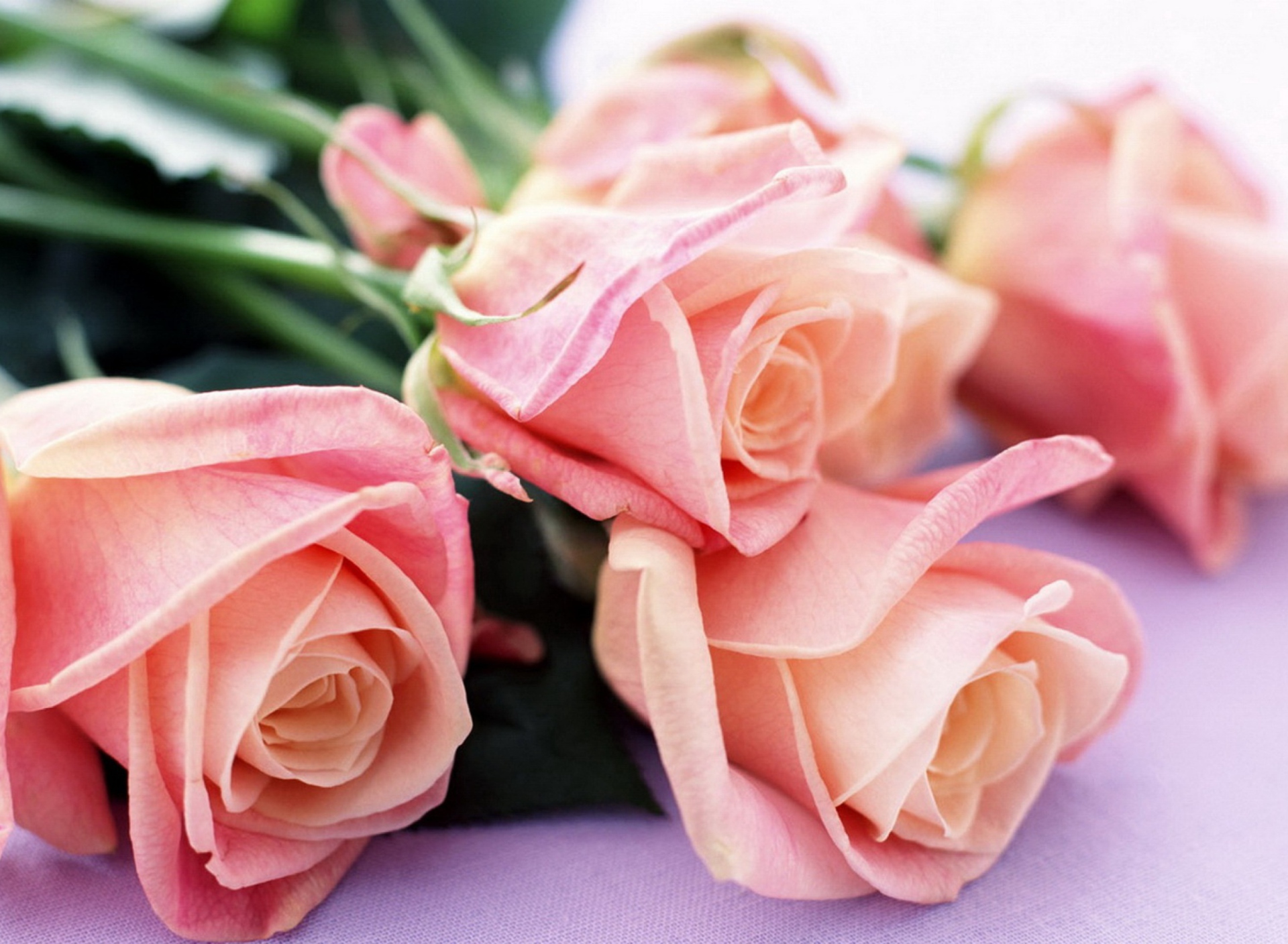 Pink Roses Bouquet screenshot #1 1920x1408