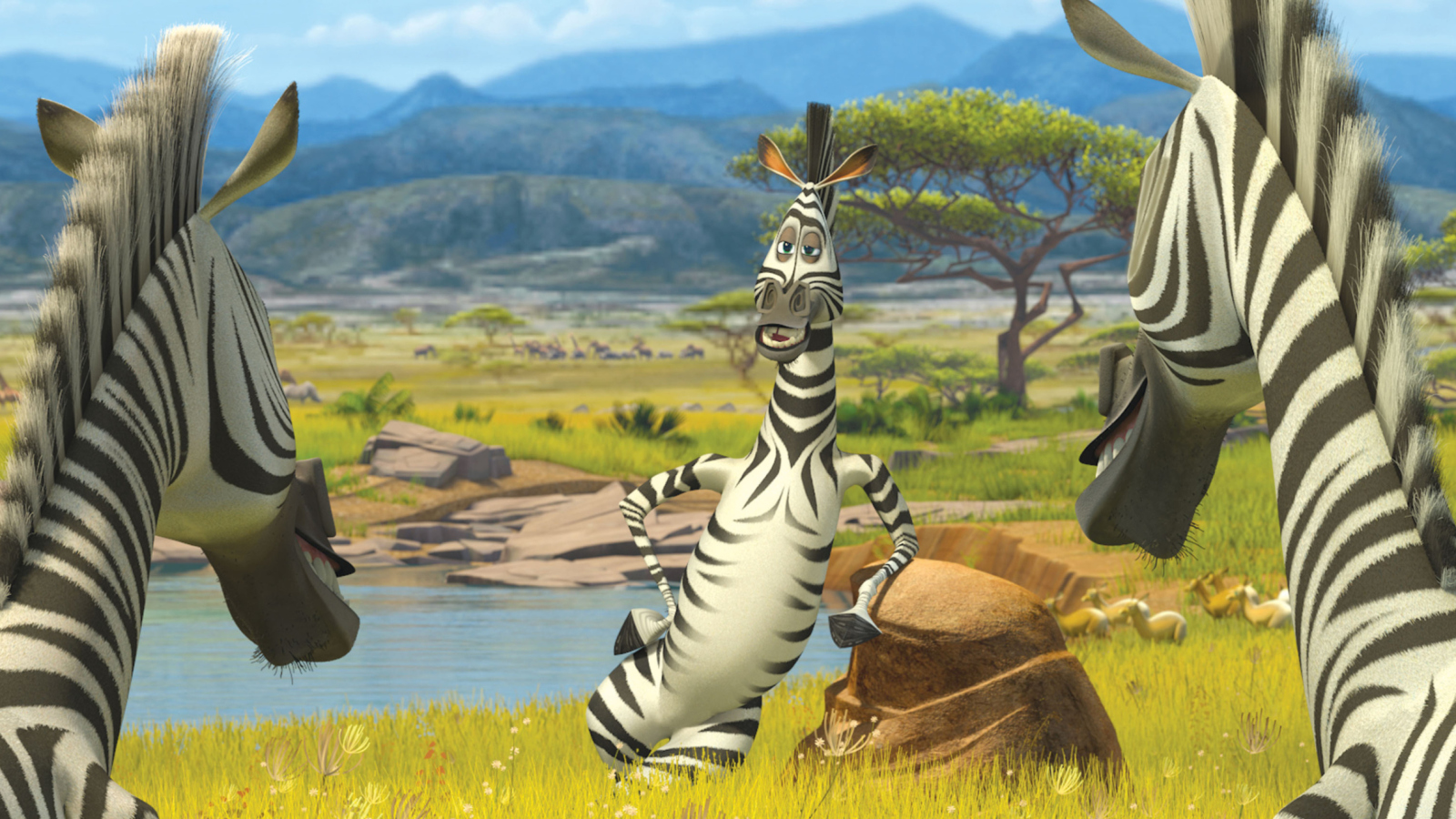 Screenshot №1 pro téma Zebra From Madagascar 1600x900