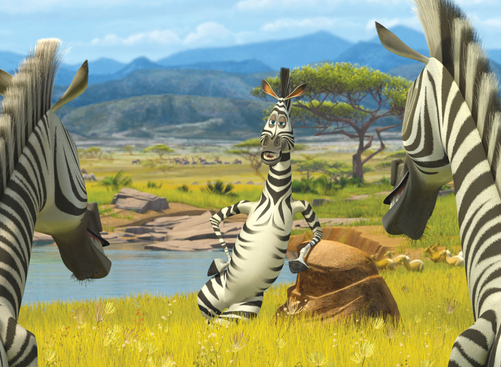 Обои Zebra From Madagascar 1920x1408