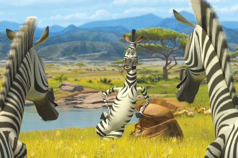 Screenshot №1 pro téma Zebra From Madagascar 480x320