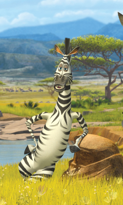 Screenshot №1 pro téma Zebra From Madagascar 480x800
