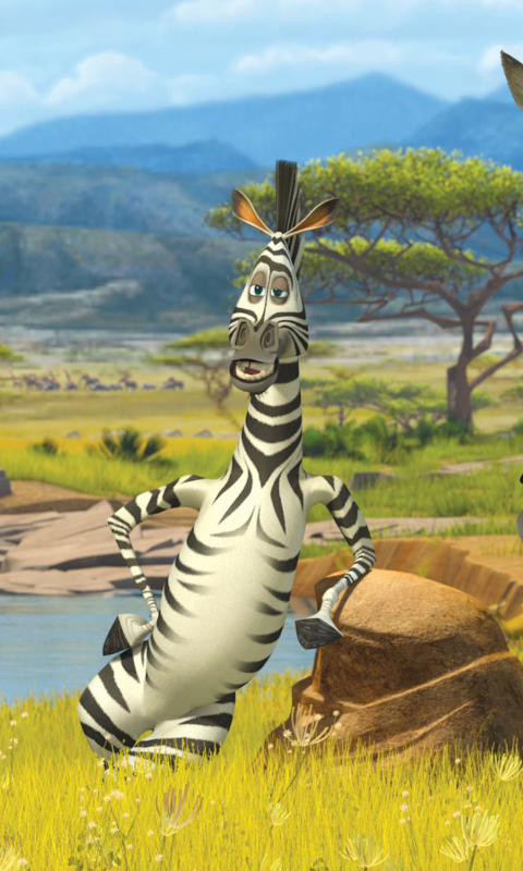 Обои Zebra From Madagascar 480x800