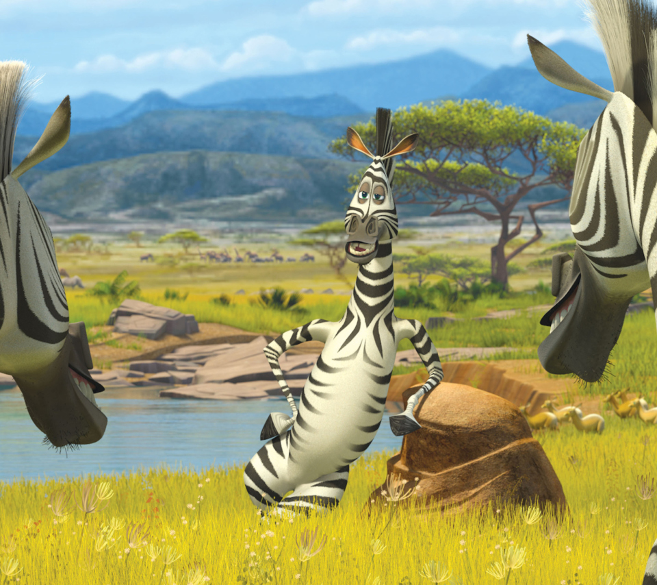 Обои Zebra From Madagascar 960x854