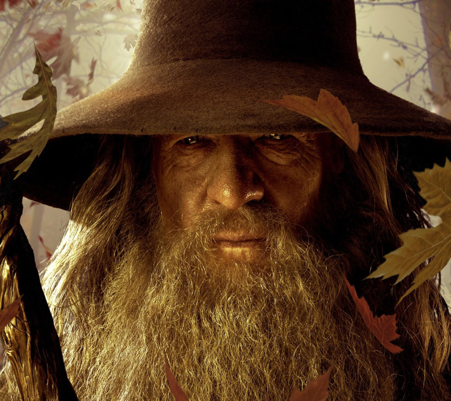 Das Gandalf Wallpaper 1440x1280